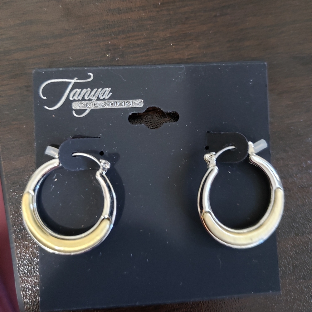 🔥Silver and Gold Hoops